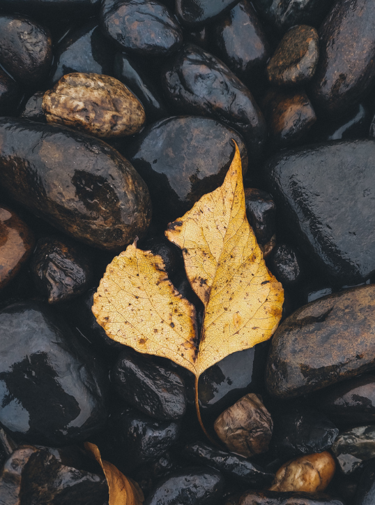 Real Estate Virtual Staging and Photography - Image 3